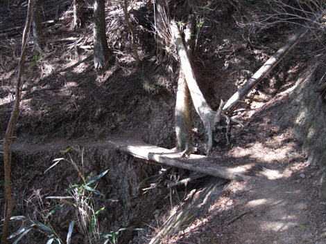 20180116hike (132)
